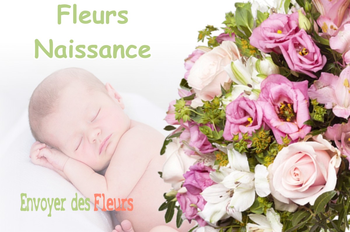 lIVRAISON FLEURS NAISSANCE à PAGNY-LA-BLANCHE-COTE